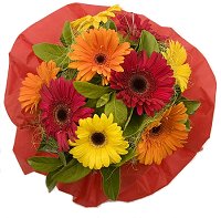 Burnside Florist - Gerbera Bouquet